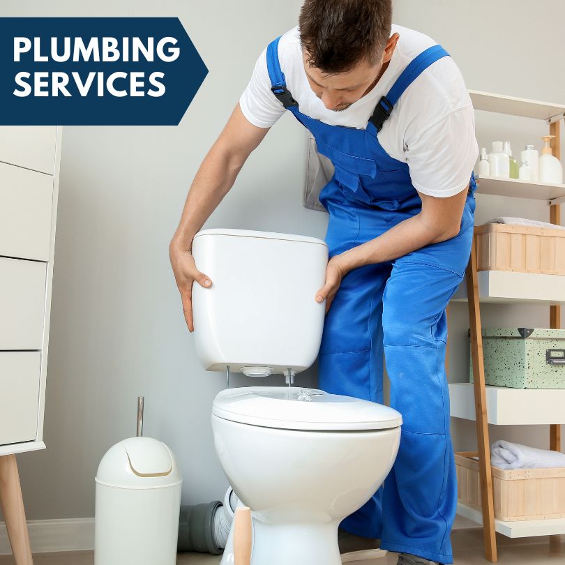 Plumbing Company in University Park, IA